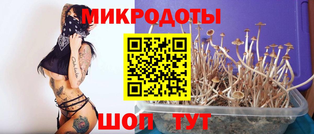Междуреченск  Псилоцибиновые грибы мицелий  Галлюциногенные грибы ЛСД  купить наркоту  Вход с VPN 